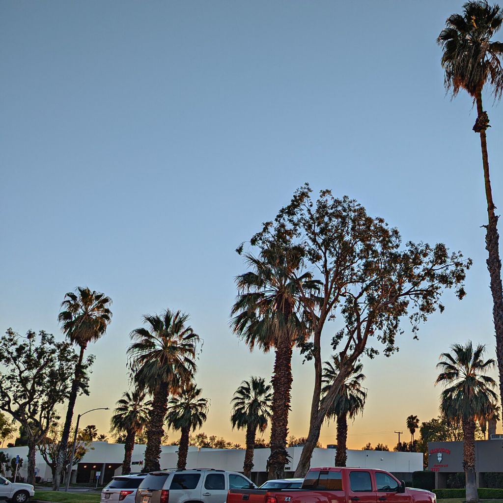 Your Way Manufacturing parking Lot Palm Trees